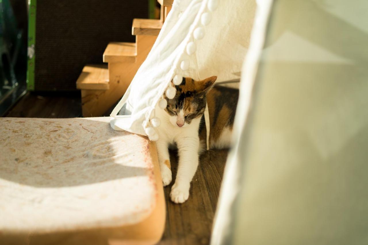 Hello Make Yourself At Home Kenting Luaran gambar
